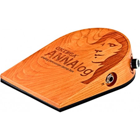 ANNAlog