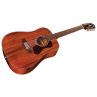 D-1212 12-STRING NAT