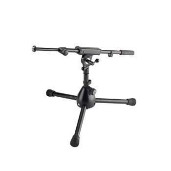 Asta microfonica nana