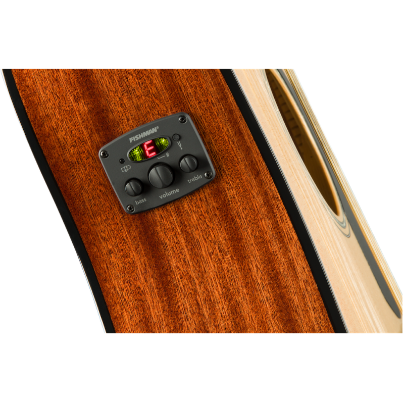 CD-60SCE Dreadnought 12 corde