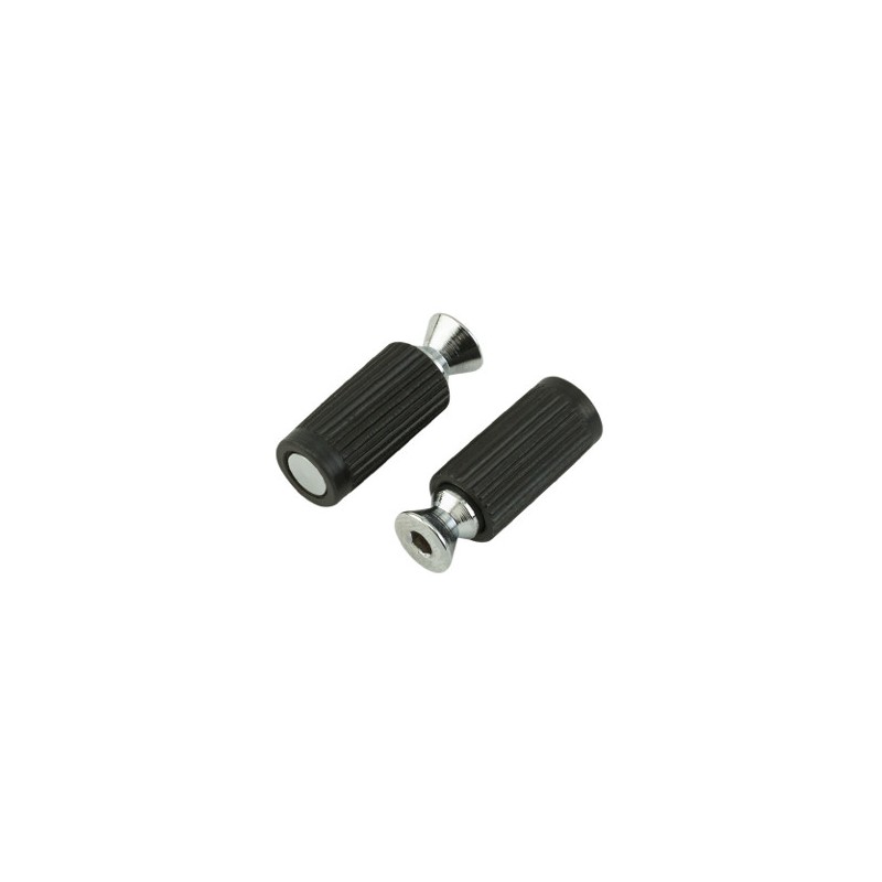 FR-BMMSIC – Set di 2 piloni e boccole – Cromato – Genuine Floyd Rose