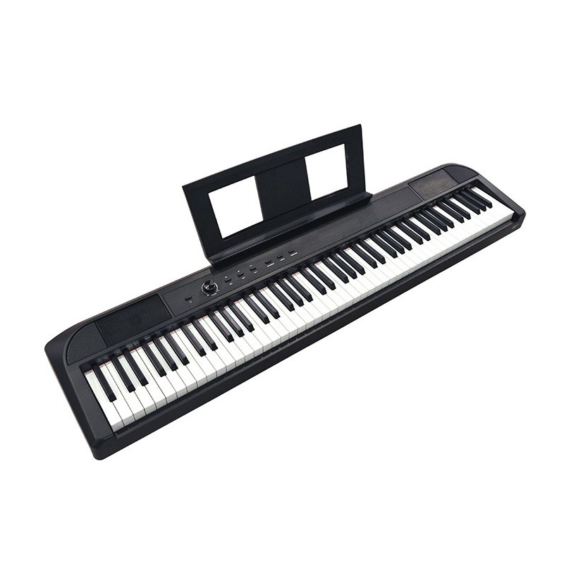DP1