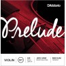 Prelude J810M 4/4