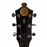 Pick puck celtic knot