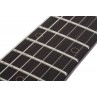 Schecter Nick Johnston Traditional HSS Atomic Frost