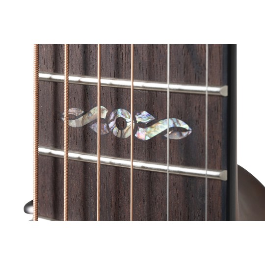 Celebrity Elite Plus Ltd 2024