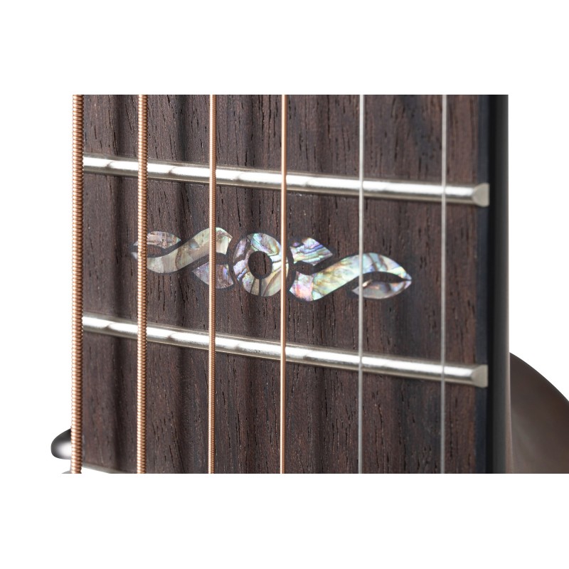 Celebrity Elite Plus Ltd 2024