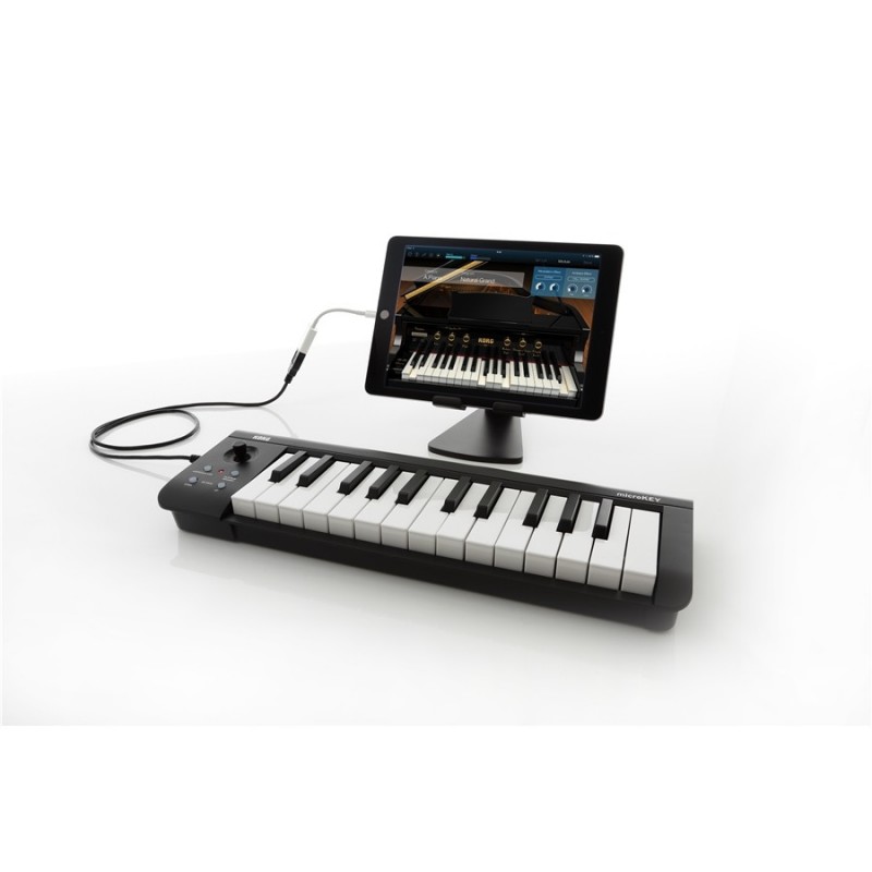 MICROKEY 25