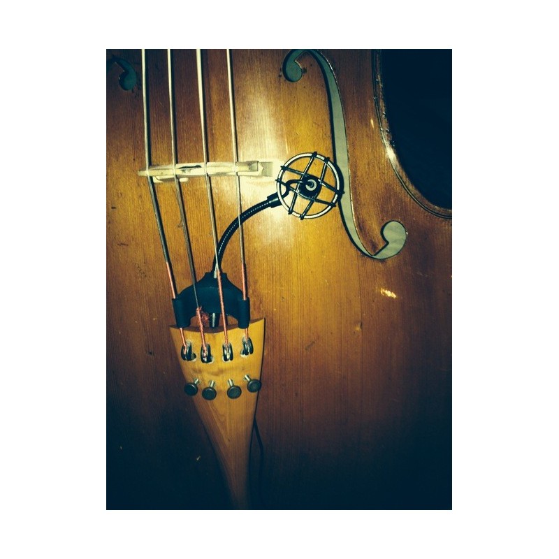 PROCL21 per violoncello