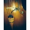 PROCL21 per violoncello