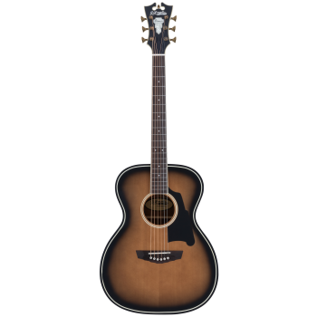 PREMIER TAMMANY Aged burst