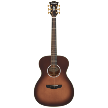 EXCEL TAMMANY AUTUMN BURST