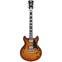 D'Angelico PREMIER MINI DC - Dark Iced Tea Burst