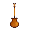 D'Angelico PREMIER MINI DC - Dark Iced Tea Burst