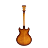 D'Angelico PREMIER DC - Dark Iced Tea Burst