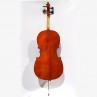 Violoncello 3/4 con tavola massello