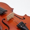 Violino 1/2 tavola massello