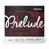 Prelude 3/4 - J1010-34M