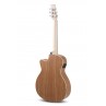 Applause Jump OM Cutaway Electro - Pesca