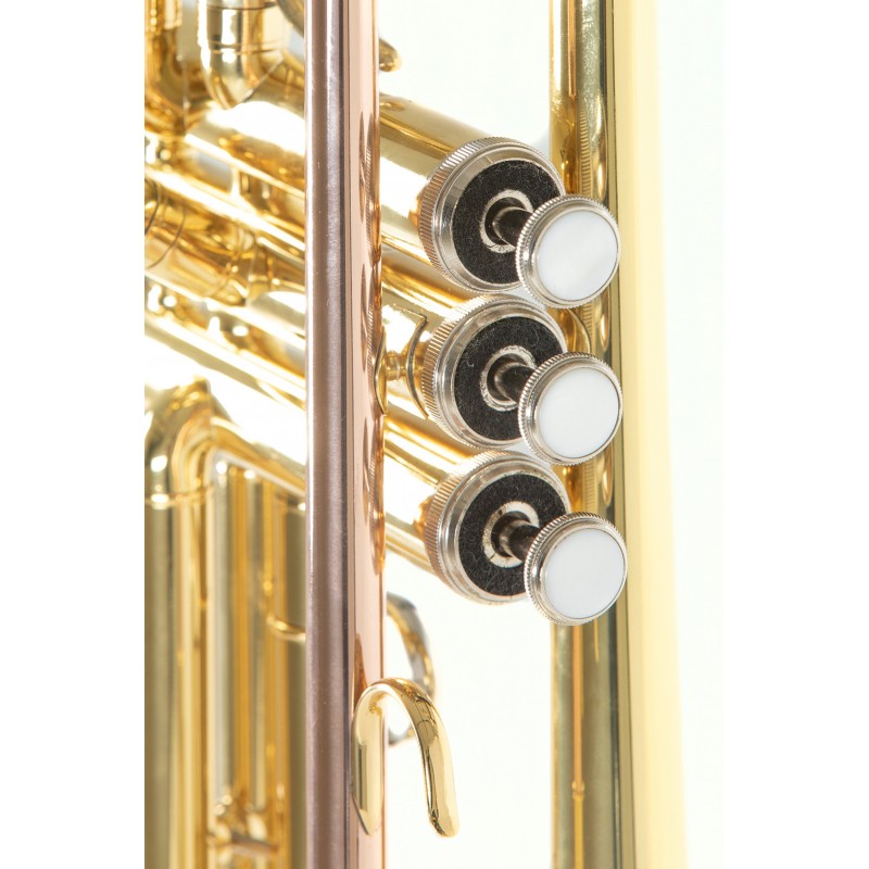 Tromba in SIb TR-101