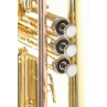 Tromba in SIb TR-101