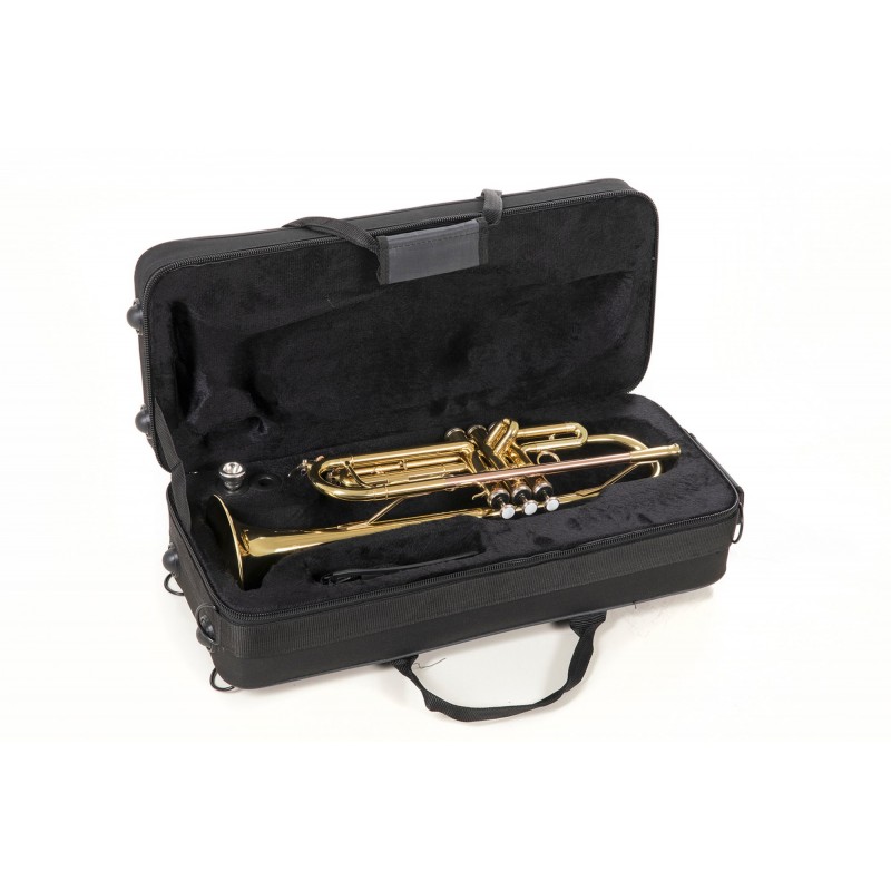Tromba in SIb TR-101