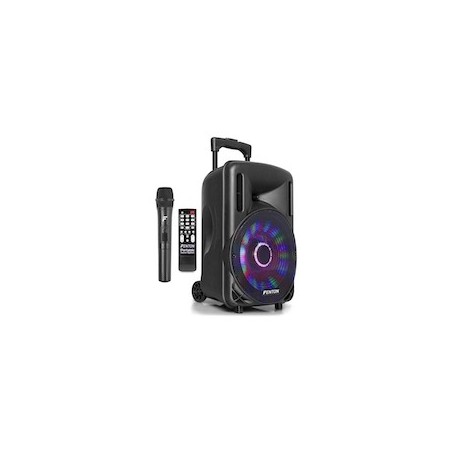 FT10LED Portable System 10 BT1 UHF
