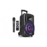 FT10LED Portable System 10 BT1 UHF