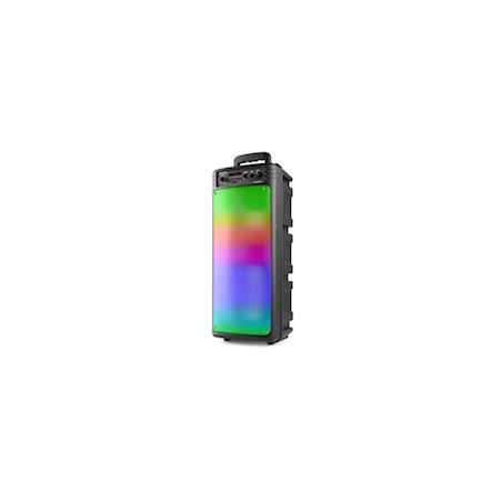 BoomBox300 2x6,5LED Batt.BT MicTWS
