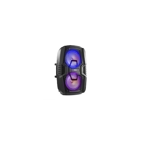 FT210LED Portable System 2x10 BT