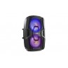 FT210LED Portable System 2x10 BT