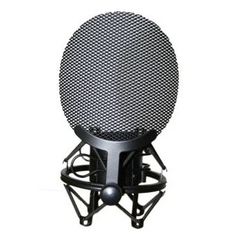 Golden Age Project Sp 1