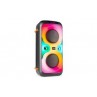 BoomBox440 2x6,5LED Batt.BT MicTWS