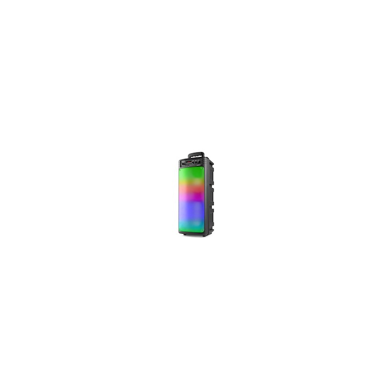 BoomBox300 2x6,5LED Batt.BT MicTWS