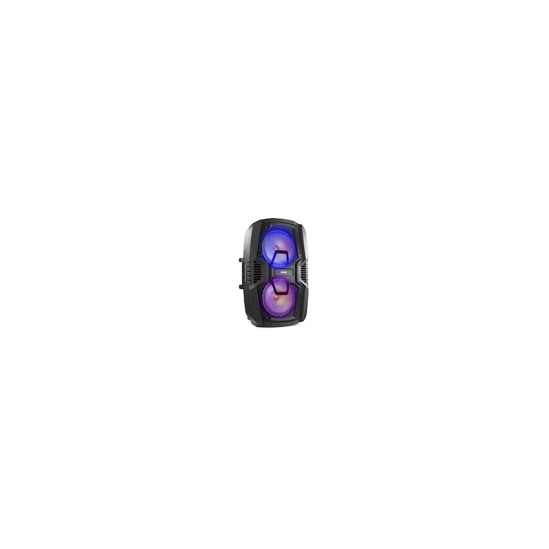 FT210LED Portable System 2x10 BT
