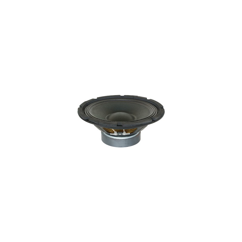 SP1000 Chassis Speaker 10inch 8 Ohm