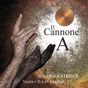 Il Cannone A Medium