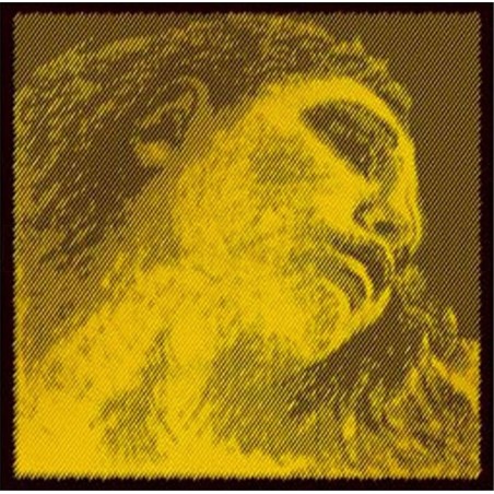 SET VIOLINO EVAH PIRAZZI GOLD 4/4 CON MI PALLINO