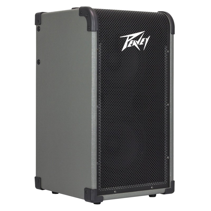 MAX 208 - 200W Bass Combo 2x8