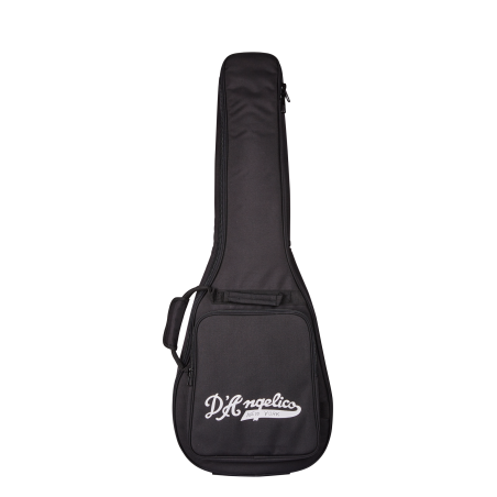 Mini DC Gigbag