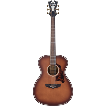 PREMIER TAMMANY Caramel Burst