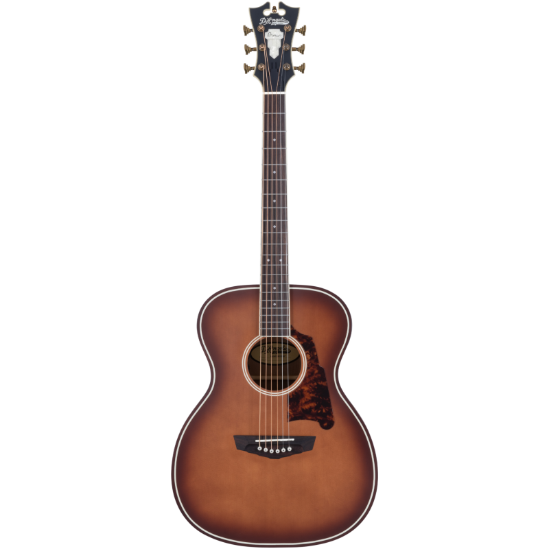 PREMIER TAMMANY Caramel Burst