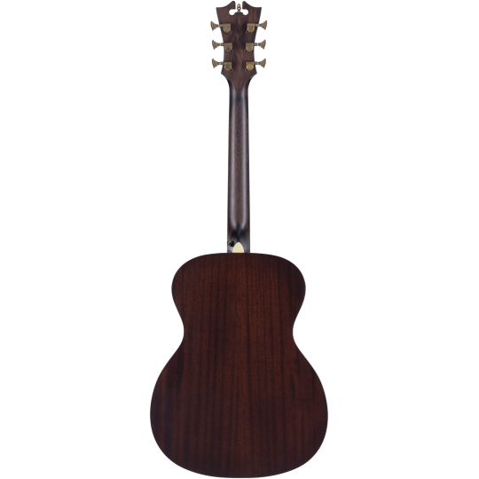 PREMIER TAMMANY Caramel Burst