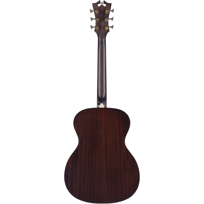 PREMIER TAMMANY Caramel Burst