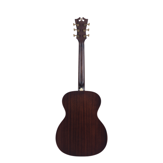 PREMIER TAMMANY Natural