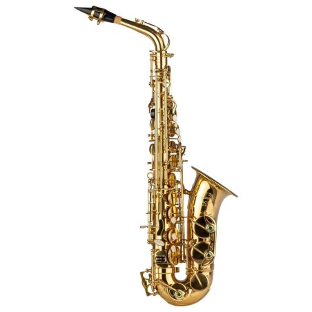 SAL700 Sax Contralto