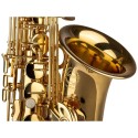 SAL700 Sax Contralto