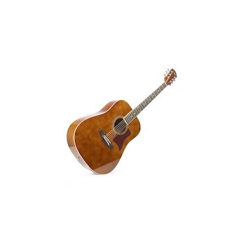 SoloJam Western Guitar Pack DarkNat
