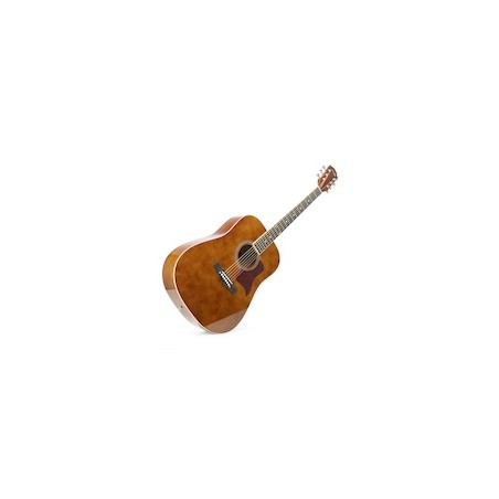 SoloJam Western Guitar Pack DarkNat