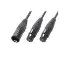 CX142 Cable Splitter XLR M-2 XLR F